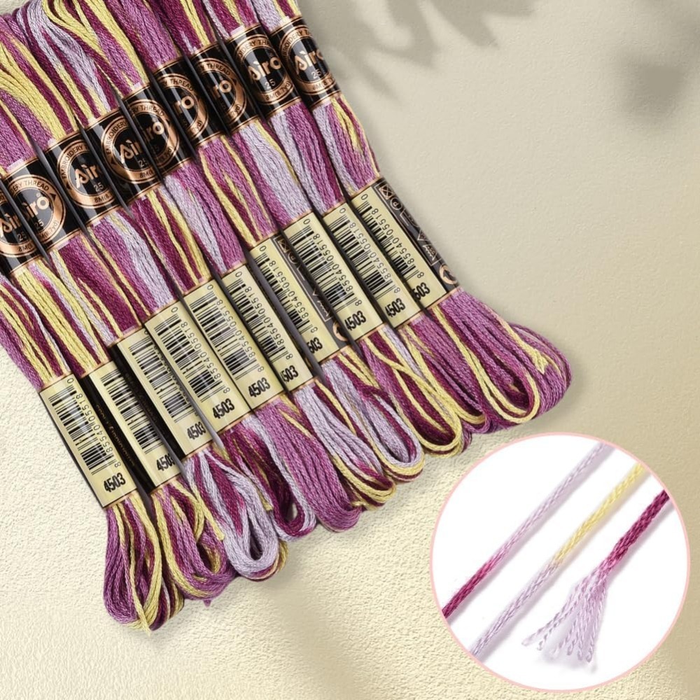 6-strengen paars bonte borduur - Embroidery Computer recensie en prijs